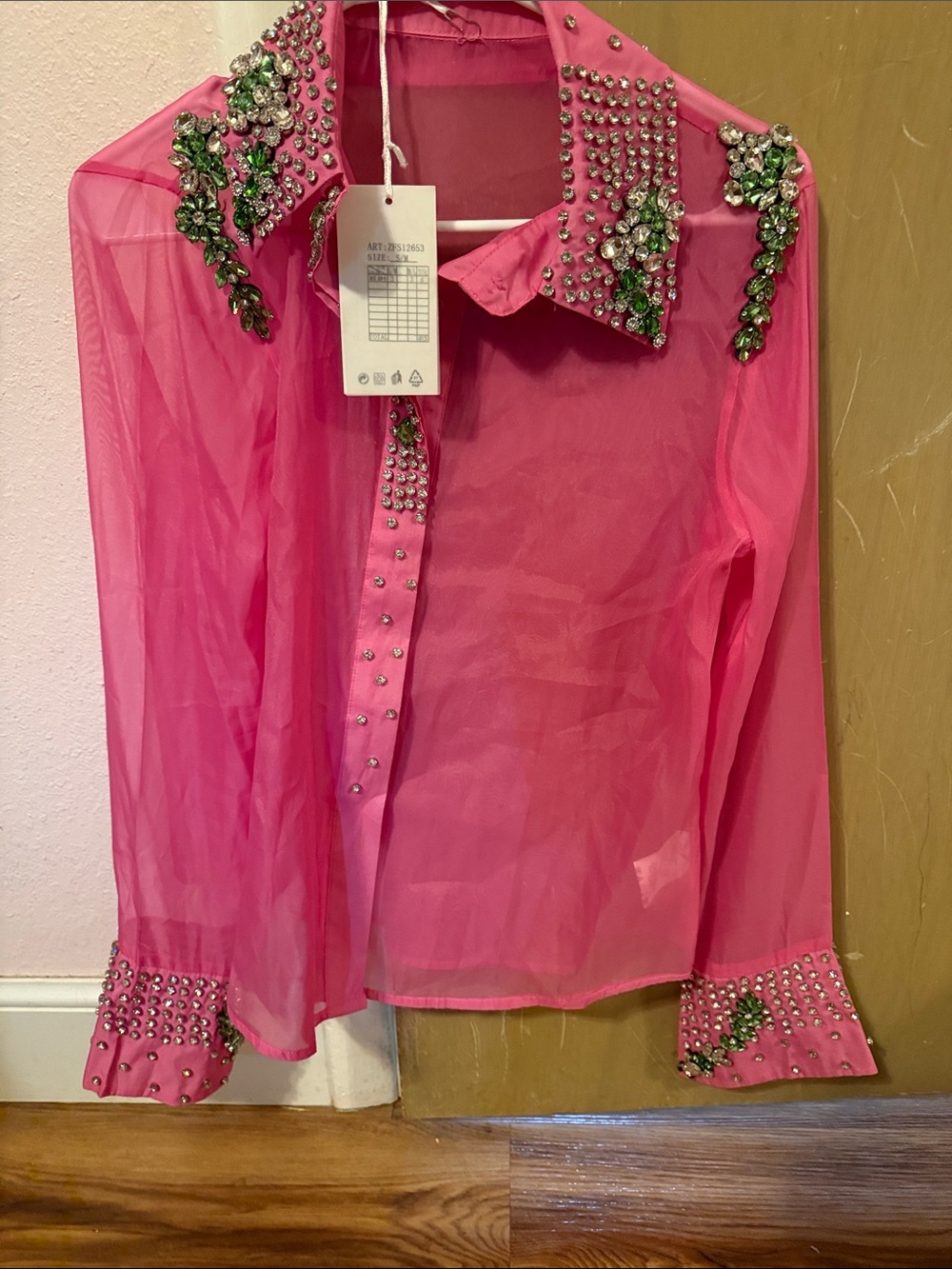 Sheer Pink Embellished Button-Down Blouse